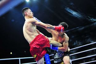 FF聯(lián)賽首戰(zhàn)引爆鵬城 首創(chuàng)搏擊聯(lián)賽開啟深圳拳擊新紀(jì)元