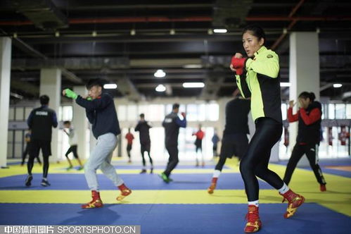 支部建在運(yùn)動(dòng)隊(duì)丨中國拳擊隊(duì) 以扎實(shí)黨建為奧運(yùn)備戰(zhàn)注入強(qiáng)勁動(dòng)能