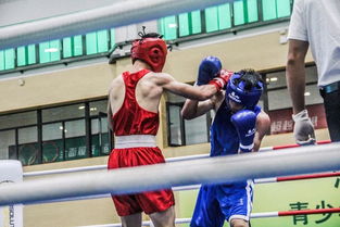 青春拳力，暖心守護(hù)——省運(yùn)會(huì)青少年部拳擊賽事組織與貼心服務(wù)紀(jì)實(shí)
